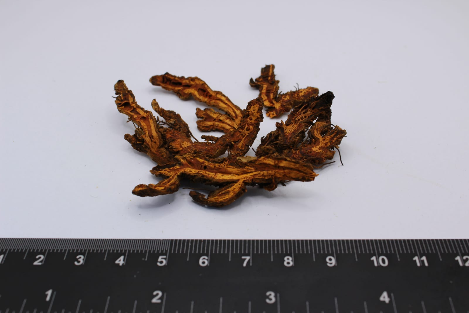 Dried huang lian rhizome